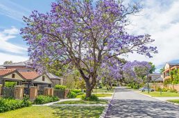 Perth property market standing alone as 2023 growth prospect