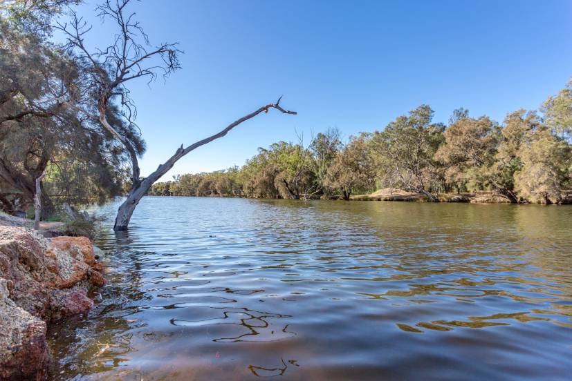 64 Caversham Avenue, CAVERSHAM, WA 6055 AUS