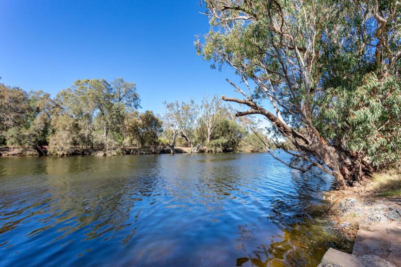 64 Caversham Avenue, CAVERSHAM, WA 6055 AUS