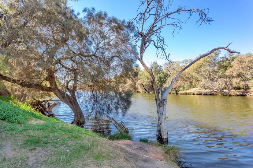 64 Caversham Avenue, CAVERSHAM, WA 6055 AUS