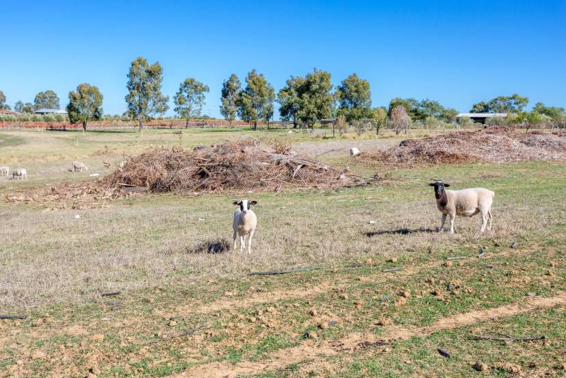 64 Caversham Avenue, CAVERSHAM, WA 6055 AUS