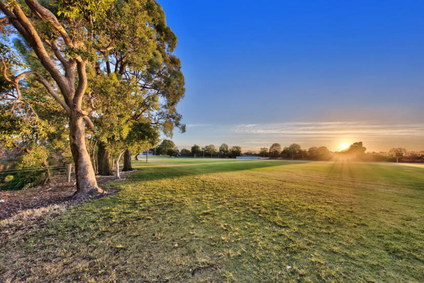 35 Azelia Street, ALEXANDER HEIGHTS, WA 6064 AUS